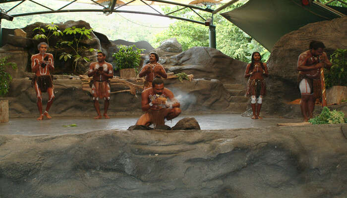 Experience Aboriginal Culture At Tjapukai Aboriginal Cultural Park