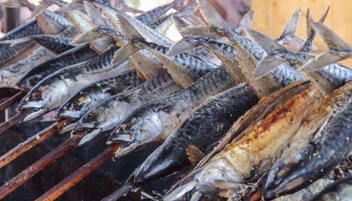 seafood on Port Beach’s coast