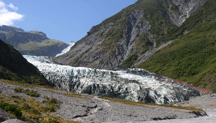 Fox Glacier