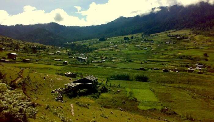 Gangtey Trek In Bhutan