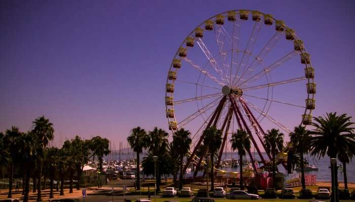 ferris wheel