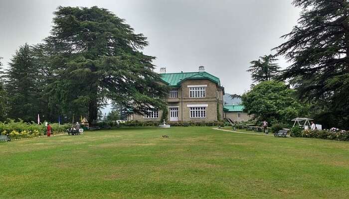 Trekking In Chail, Himachal