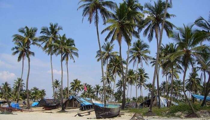 Goa is one of the popular places to visit in December in the world