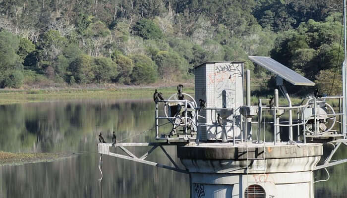 Gold Creek rises in Brisbane Forest Park 