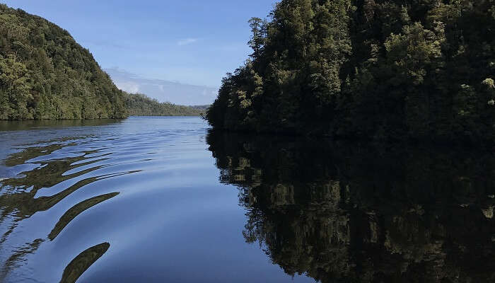 Gordon River