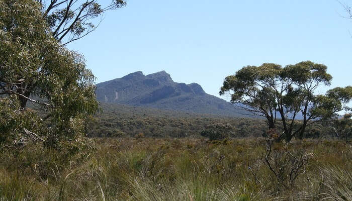 Grampians National Park Tour