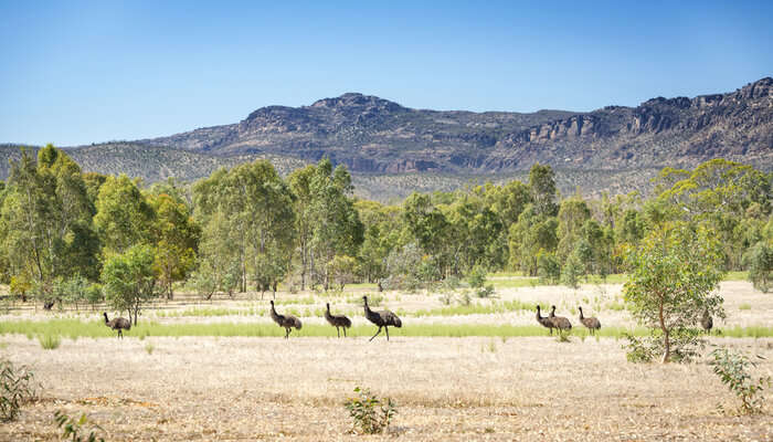 Grampians National Park