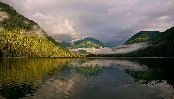 Great Bear Rainforest