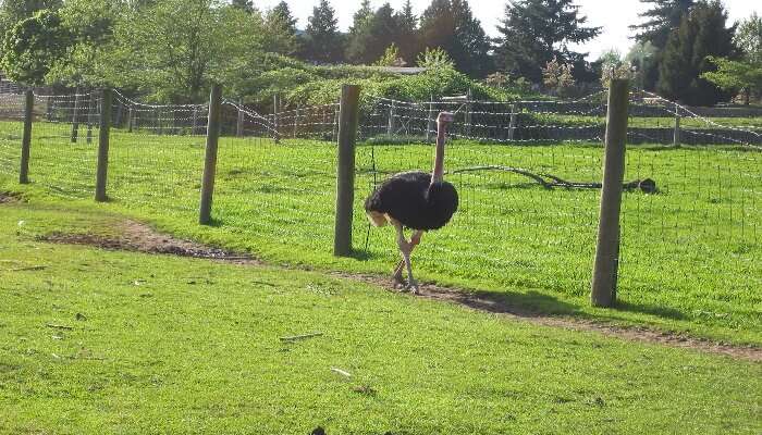 Greater Vancouver zoo