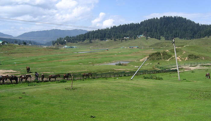 Explore Gulmarg in summer