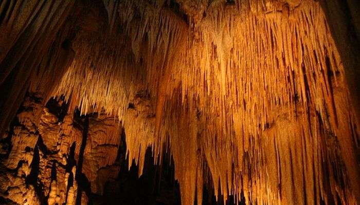 Hastings Caves And Thermal Springs