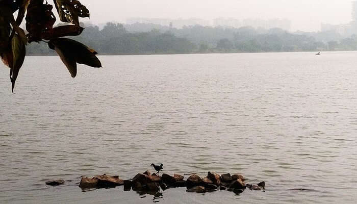 Hebbal lake_water_