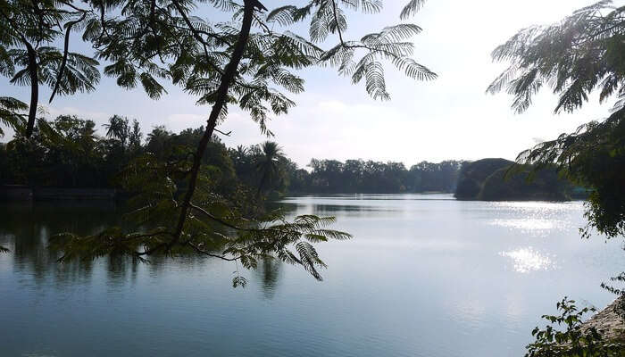 Hesaraghatta Lake_