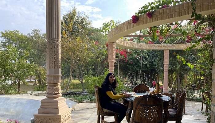during the morning breakfast