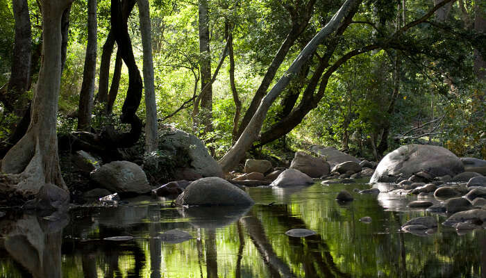 Illithode, Kerala