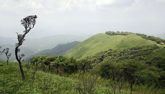 Imphal Valley