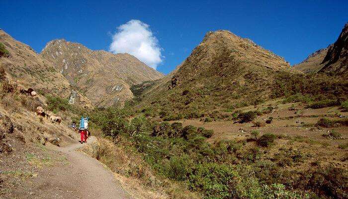 Inca Trail