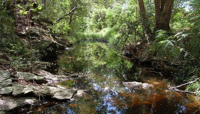  Enoggera Creek catchment