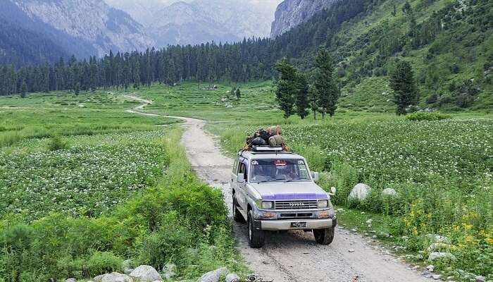 Jeep Safari