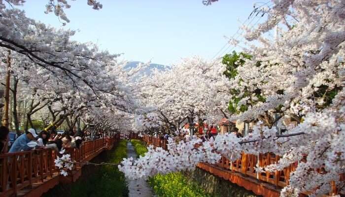 Jinhae gunhang