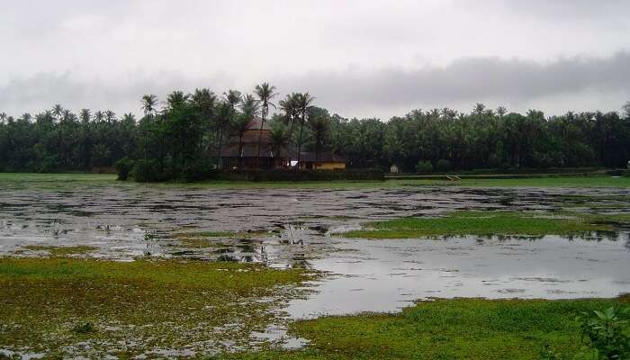 A magnificent view of Karkala in Karnataka, one of the best historical places in Karnataka