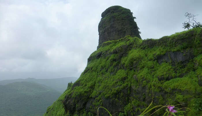 Karnala Fort