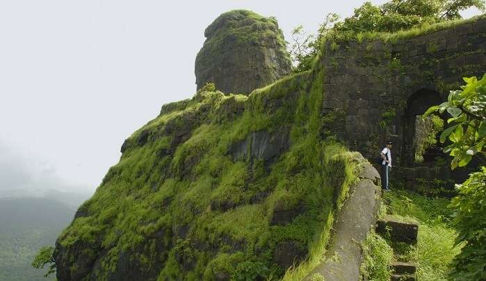 eye view of Mumbai’s coastline