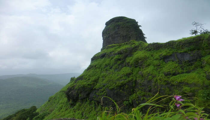 eye view of Mumbai’s coastline