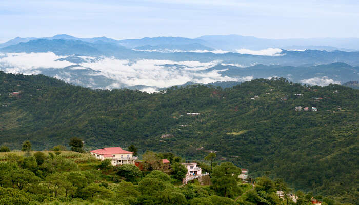 Kasauli Hills