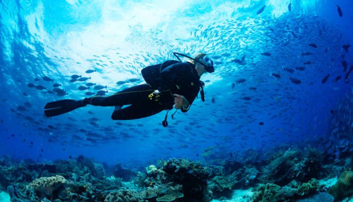 Experience Scuba Diving in Blue Water