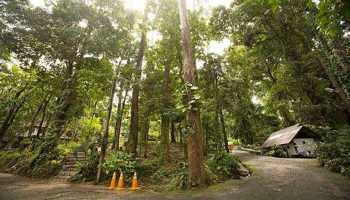 Khao Lak - Lam Ru National Park