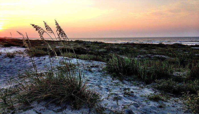 View Of Kiawah Island