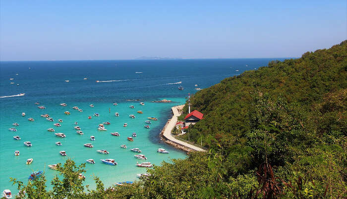 Koh Larn Coral Island in Pattaya