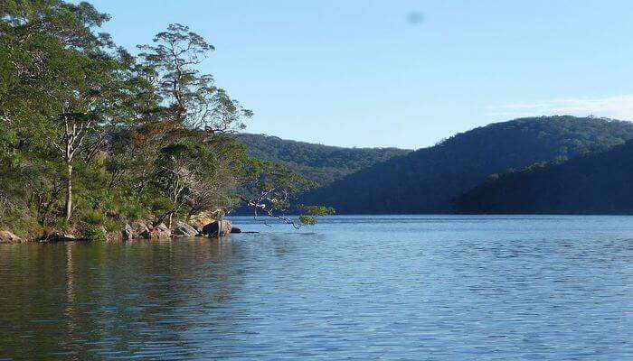 Ku Ring Gai National Park