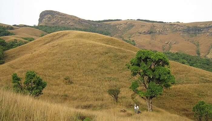 Kudremukh National Park