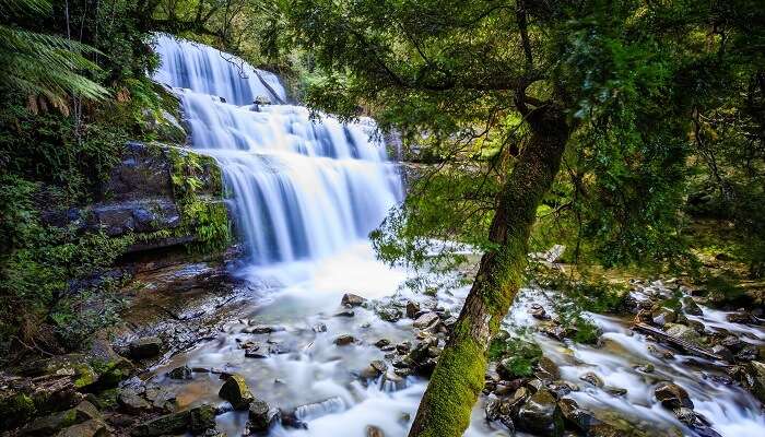 Liffey Falls