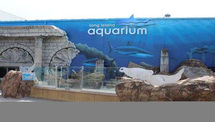 Long Island Aquarium