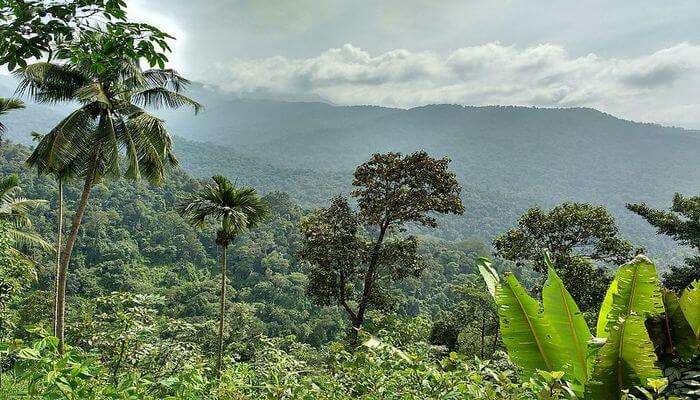 Madikeri