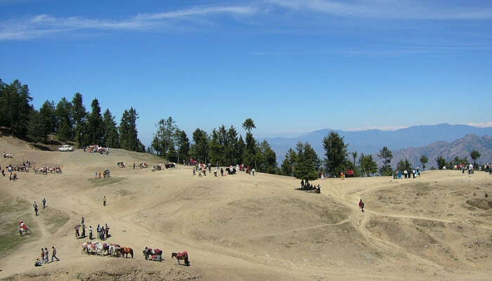 Mahasu Peak landscape view, Kufri