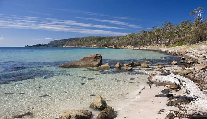 Maria Island in Tasmania