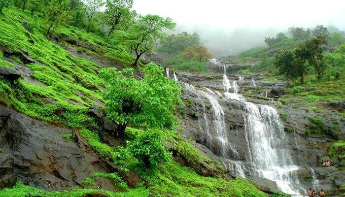 Matheran Green Festival