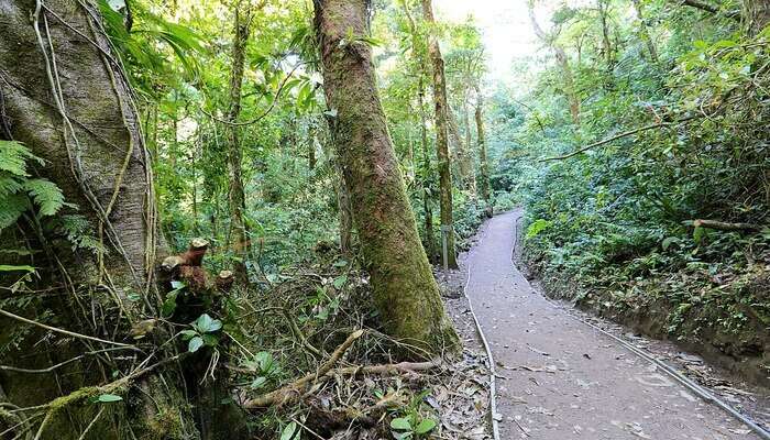Monteverde Canyoning