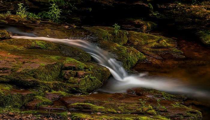 Mossy Falls