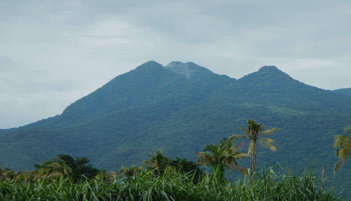 Mount Makiling in Laguna