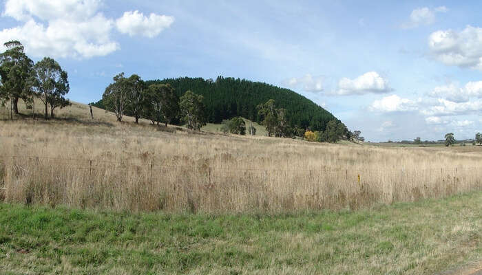 Mount Franklin Reserve in Melbourne