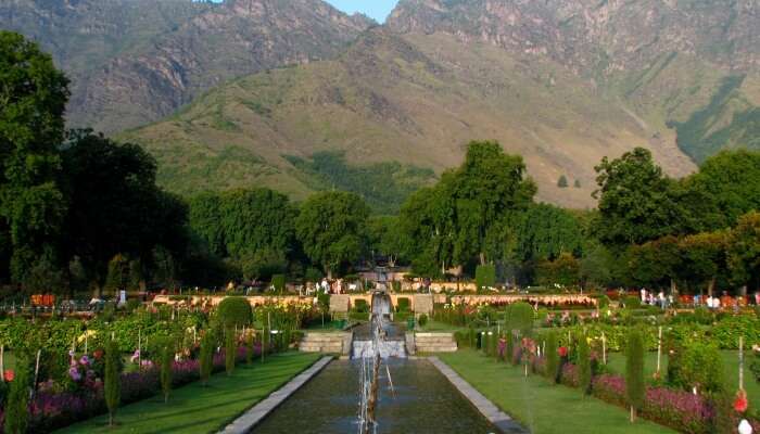 Mughal Gardens, among the best places to visit in Srinagar in June.