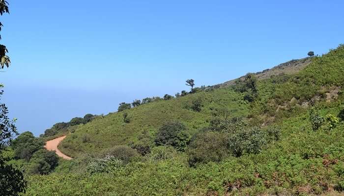 A stunning view of Mullayanagiri Peak in Karnataka