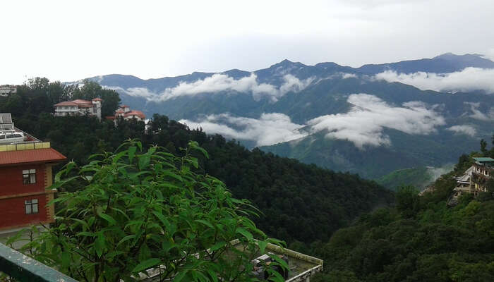 Clouds End Viewpoint Mussoorie
