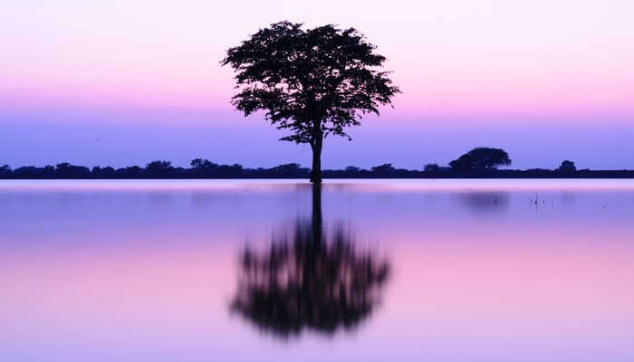 Nagavara Lake