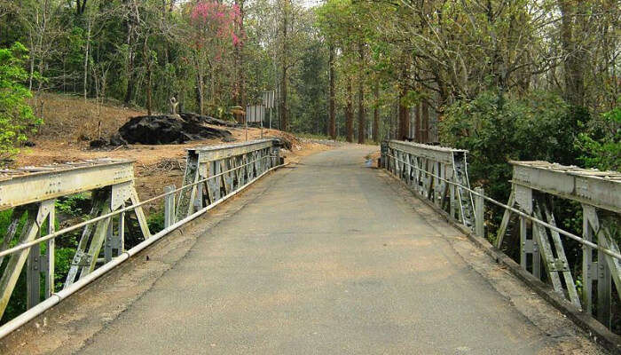Bridge at Nedumkayam Reserve Forest
